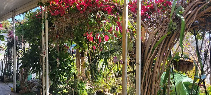 Palace Garden Mobile Home Park Picture 5