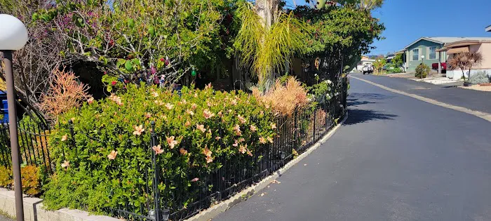 Palace Garden Mobile Home Park Picture 1