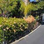 Palace Garden Mobile Home Park