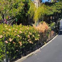 Palace Garden Mobile Home Park ico