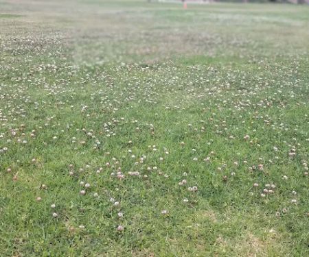 La Palma Mobile Estates