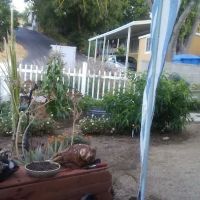 Hasley Canyon Mobile Estates ico