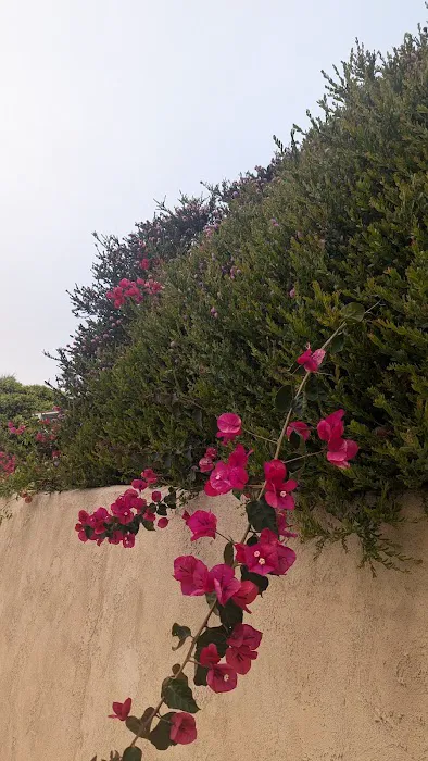 Hollywood Beach Seaside Mobile Home Park Picture 7