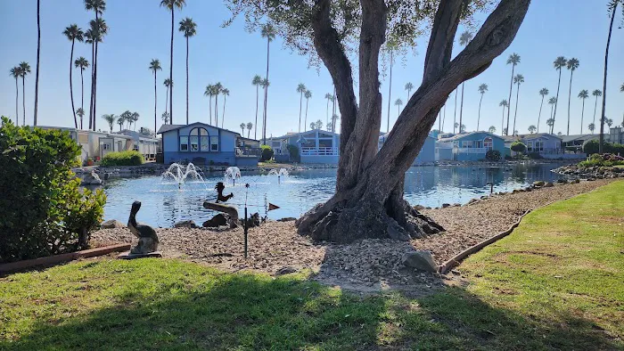 Ventura Marina Mobile Home Pk Picture 9