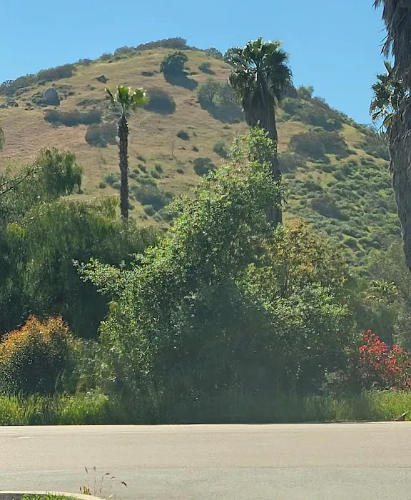 Harbison Canyon Estates Picture 4