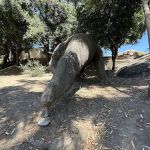 Alpine Mobile Home Estates