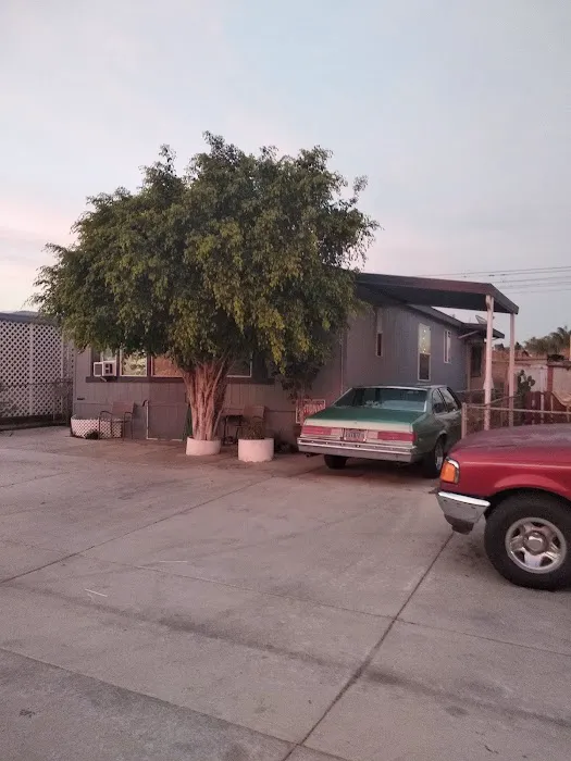 South Bay Mobile Park Picture 9
