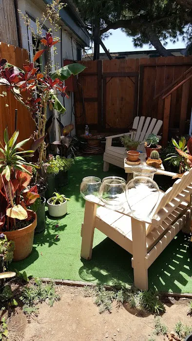 Imperial Trailer Park Picture 1