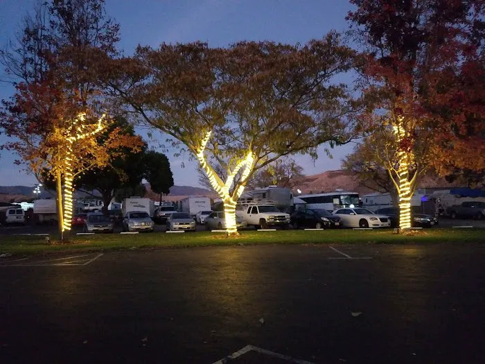 Castaic Lake RV Park Picture 5