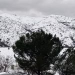 Paradise Ranch Estates MHP