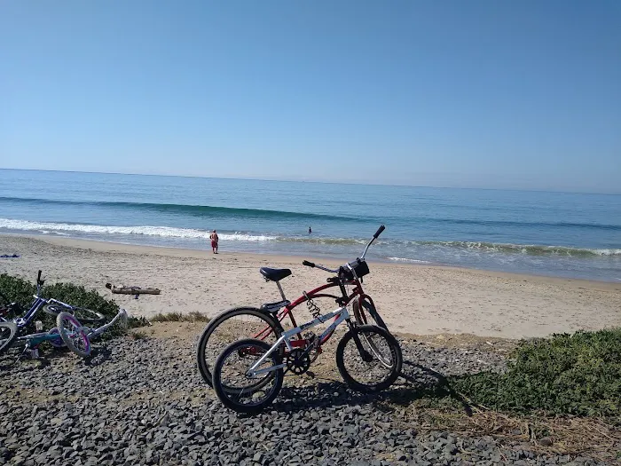 Ventura Beach RV Resort Picture 9