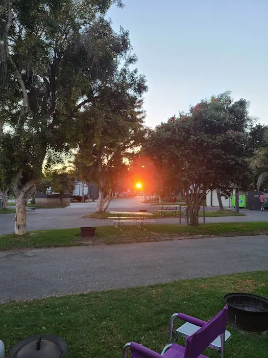 Ventura Beach RV Resort Picture 3