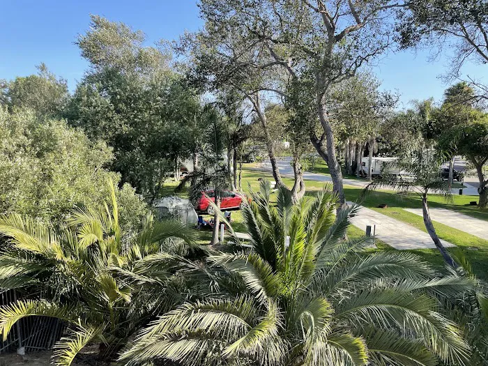 Ventura Beach RV Resort Picture 4