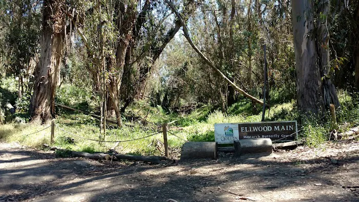 Las Encinas Mobilehome Park Picture 10