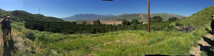 Las Encinas Mobilehome Park Picture 2