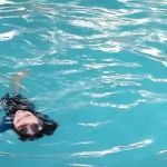 Magnolia Mobile Home Park