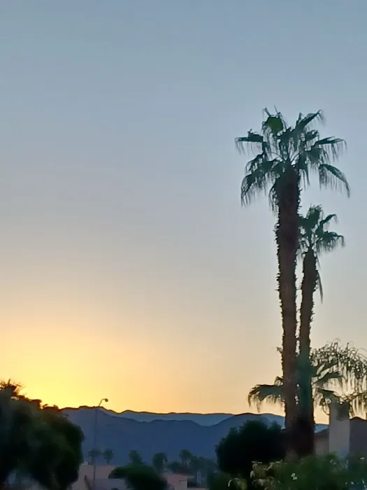 Desert Grove Adult Community Picture 4