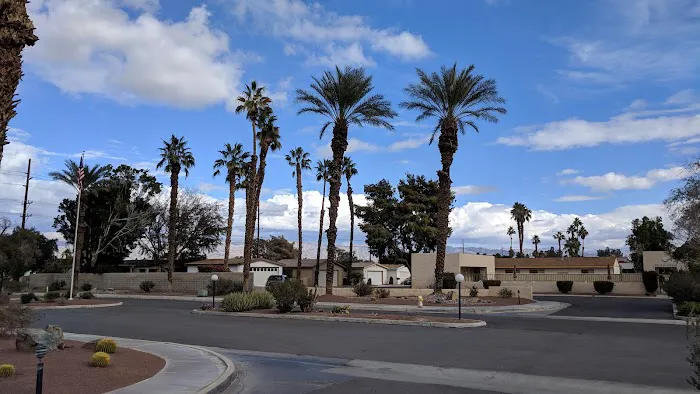 Desert Grove Adult Community Picture 8
