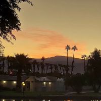 Indio Springs RV Resort(Dogs are under strict regulations) ico