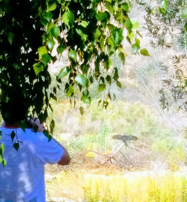 Arroyo Mobile Home Park Picture 5