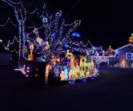 Ventura Oaks Rv Park