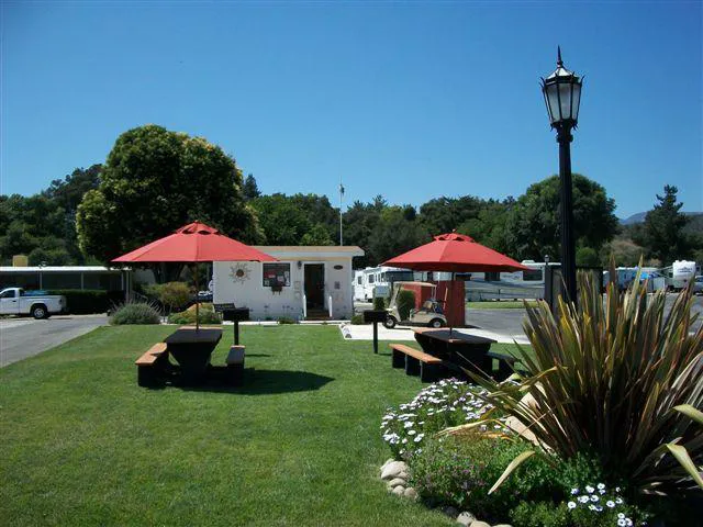 Ventura Oaks Rv Park Picture 10