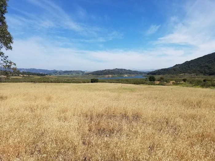 Ventura Oaks Rv Park Picture 7