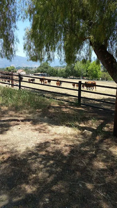 Ventura Oaks Rv Park Picture 8