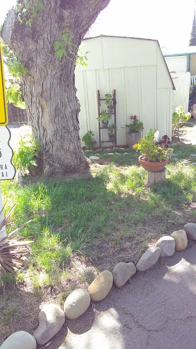 Country Village Mobile Home Park Picture 10