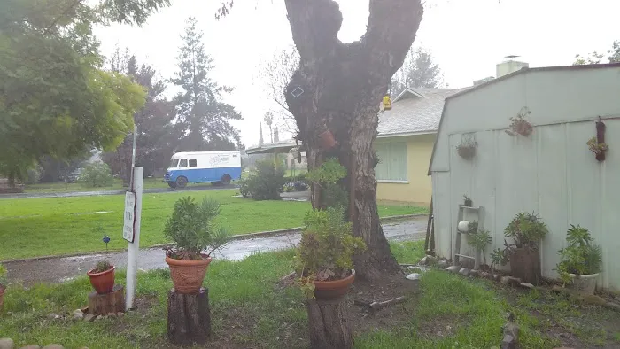 Country Village Mobile Home Park Picture 2