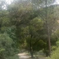 Country Village Mobile Home Park ico