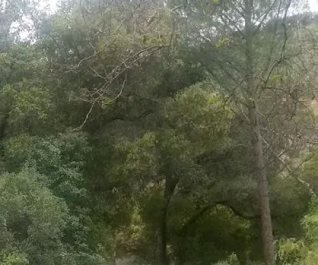 Country Village Mobile Home Park