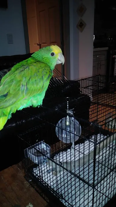 Ojai Oaks Village Picture 8