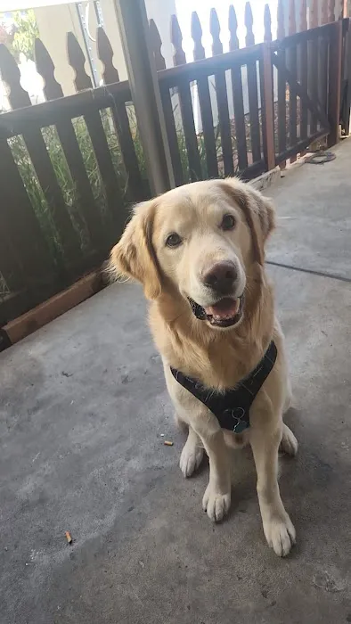 Ojai Oaks Village Picture 1