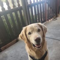 Ojai Oaks Village ico