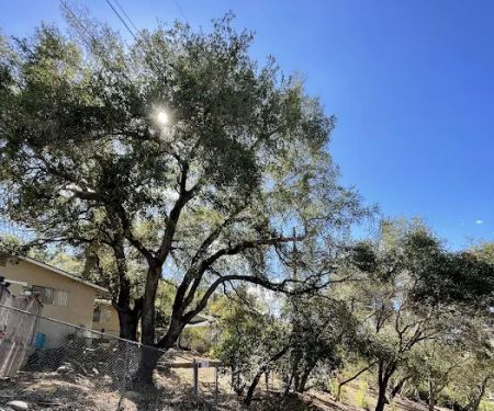 Villanova Mobile Home Park