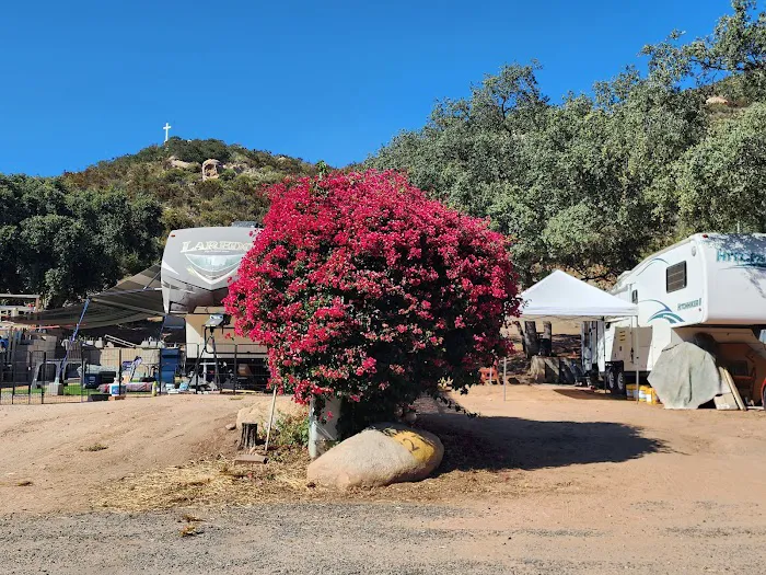 Diamond Jack's RV Ranch Picture 10