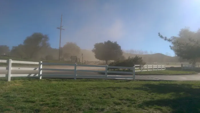 Heavenly Oaks Residential Picture 2
