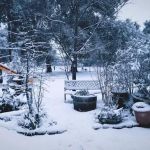 Heavenly Oaks Residential