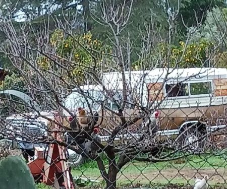 Del Francia Mobile Estates