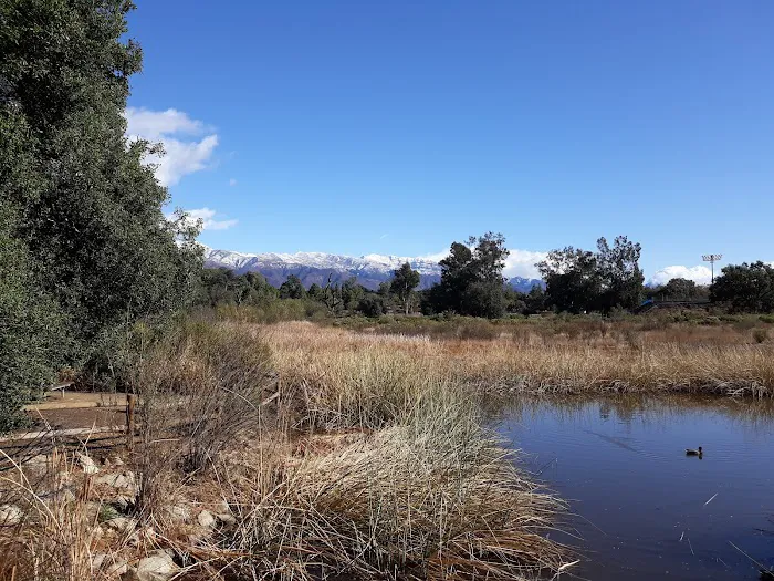 Ojai Valley Estates Picture 3