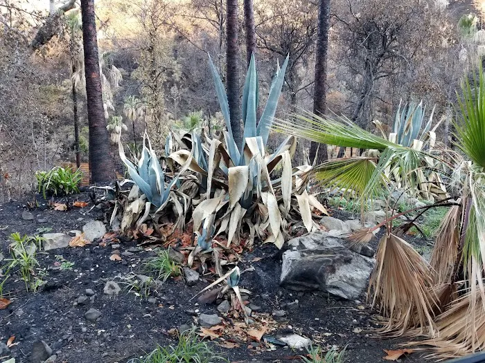Ojai Valley Estates Picture 10