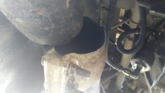 Las Granjas Mobile Home Park Picture 1