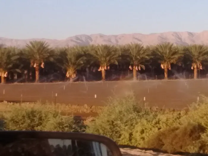 Las Granjas Mobile Home Park Picture 7