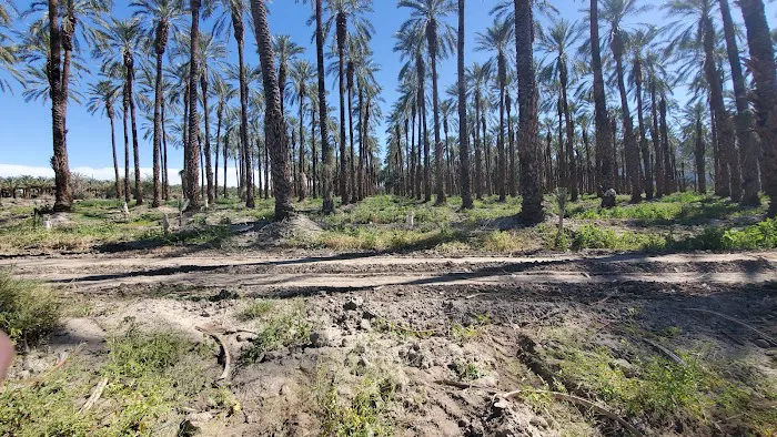 Sunbird Mobile Home Park Picture 1