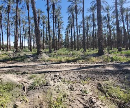 Sunbird Mobile Home Park