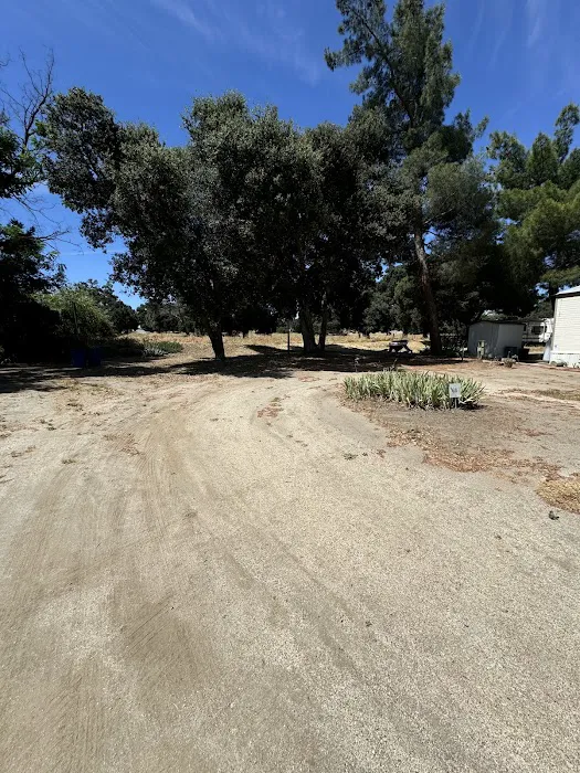 Lake Morena RV Park Picture 5