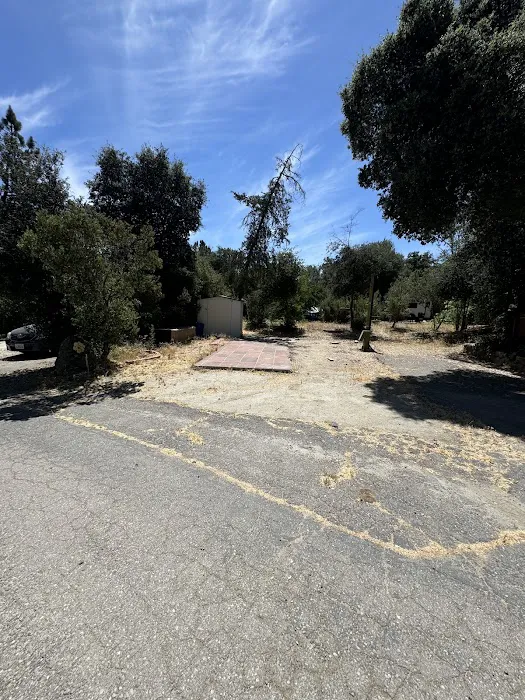 Lake Morena RV Park Picture 8