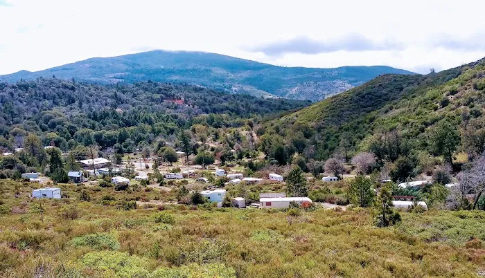 Pinecrest Retreat Picture 6