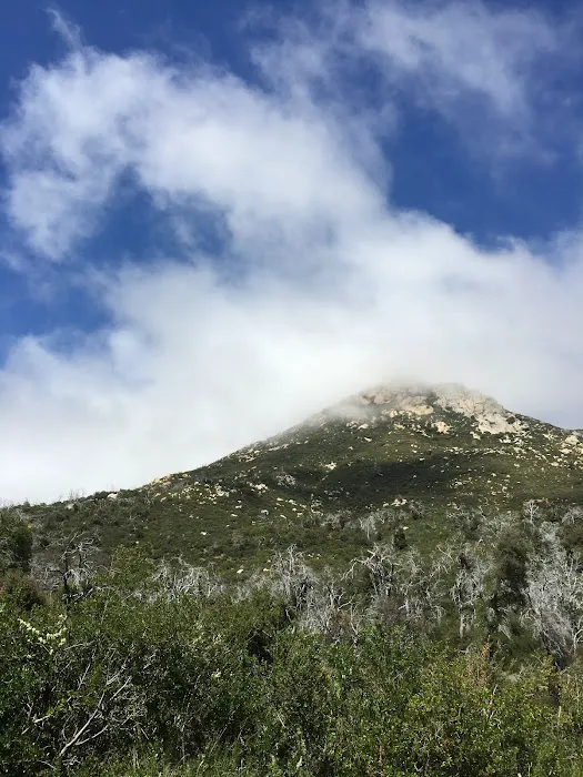 Pinecrest Retreat Picture 7